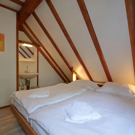 Am Sternberg 40 By Interhome Frankenau